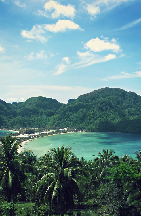 About Murzo Group Image